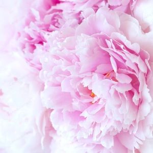 Meet your Posher, Maduyan